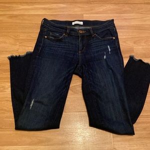 LOFT Skinny Jeans